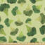 Shaelyn Healthy Food Graphic with Broccoli Fabric