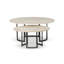 Axtell Marble Nesting Coffee Table