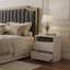 40 cm W Chest of 2 Drawers-2142888687