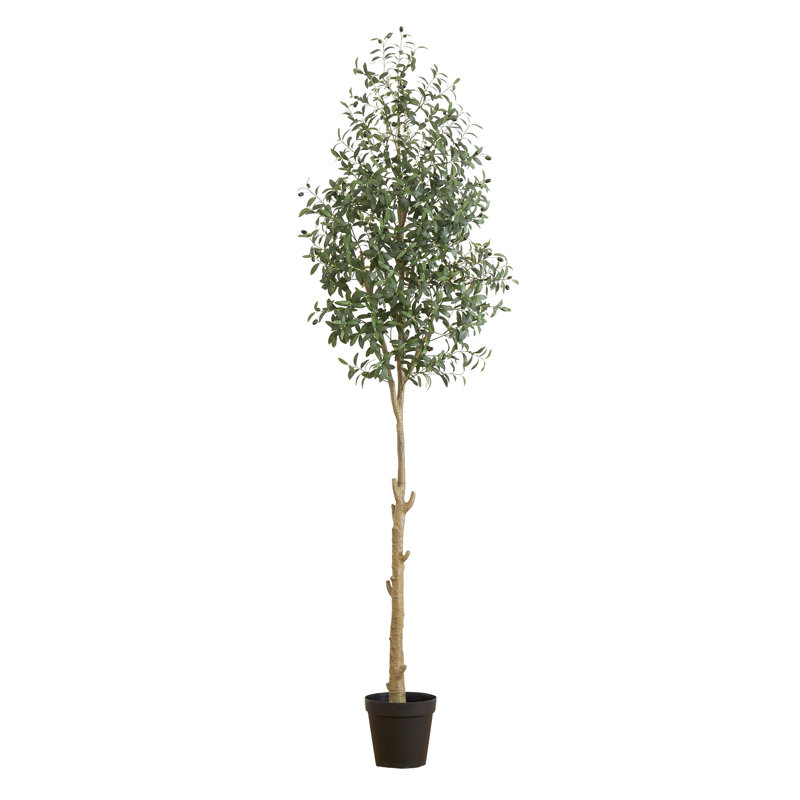 Worley 108'' Faux Olive Tree Tree in Pot
