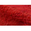 One-of-a-Kind 4’6x6’6 Hand Knotted Area Rug