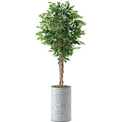Faux Ficus Plant in Planter