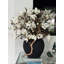 Vase noir avec magnolias blancs 