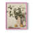 Rose est en rupture de stock