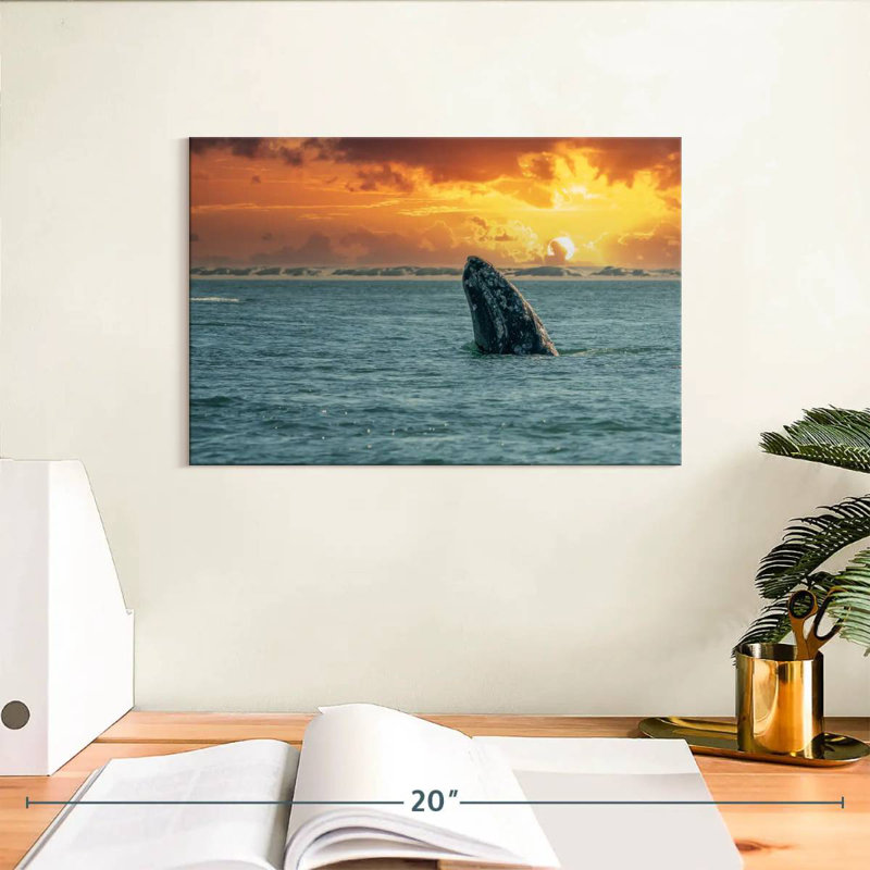 Baleine grise Brampt, H 8 po x l 12 po