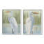 «Stupell Industries Egrets in Marshland», ensemble de 2 toiles murales par Grace Popp-91309890