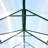 Greenhouse-98168559-98168560