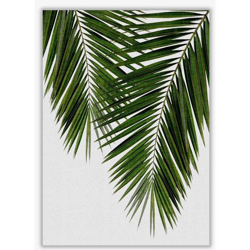 Palm Leaf II - Print, 42 cm H x 30 cm W x 1 cm D, No Frame