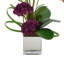 Orchid Arrangement With Sedum In Silver Glass Vase