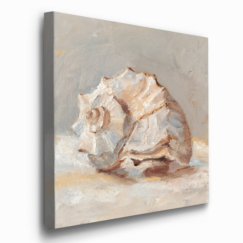 Impressionist Shell Study II - impression sur toile tendue, H 10 po x l 10 po x P 1,5 po