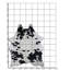 Cowhide Rug Black And White
