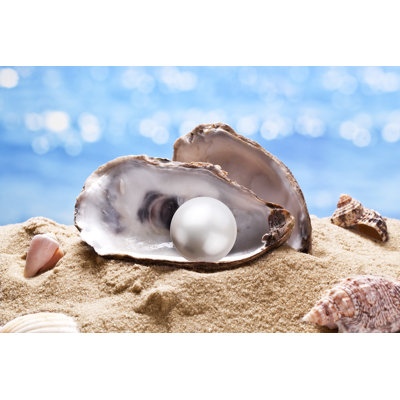 Coquille avec perle. par Valentynvolkov - Photographie sur toile tendue