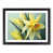Black Framed selected