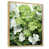 Cadre naturel flottant