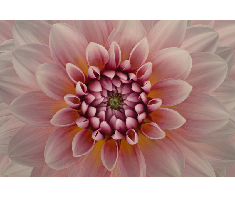 Wrapped Canvas Print, 81.28 cm H x 121.92 cm W