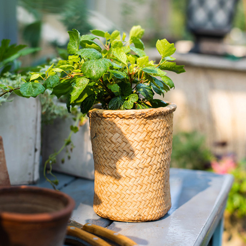 Leopoldo Handmade Pot Planter, 6.7" H x 6.3" W x 4.7" D