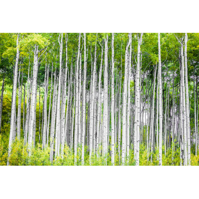 Rocky Mountain Autumn - Wrapped Canvas Print