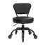 Tabouret de laboratoire ergonomique réglable en hauteur Dayton
