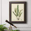 " Curtis Ferns IV " Painting Print-73984497