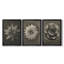 «Blossfeldt Flower I», ensemble de 3 impressions sur toile encadrées-1488156594-1488156599