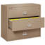 3 - Drawer File Cabinet-331542-217161