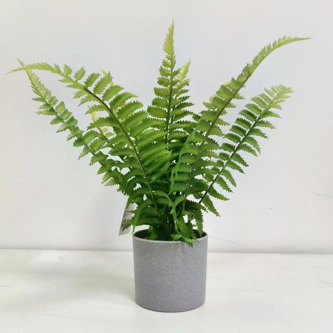 Primrue 13.4'' Faux Foliage Plant in Ceramic Pot | Wayfair