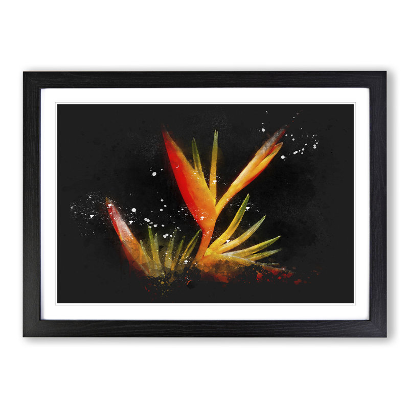 Bird of Paradise Flower - Framed Print, 65cm H x 90cm W x 2cm D, Black