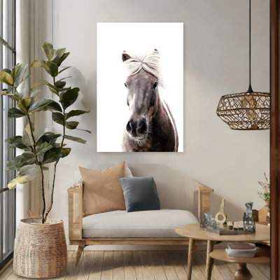 Islande, cheval, Lucy, élégant cheval minimaliste pacifique, art mural