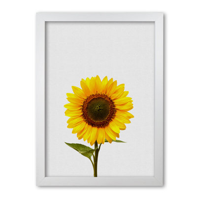Sunflower Still Life - Print