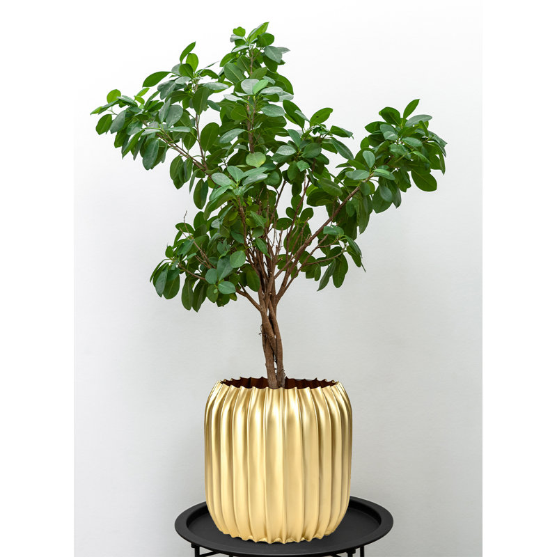 Daijohn Metal Table Vase