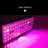 HALLOLURE Grow Light