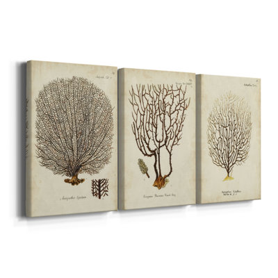 Esper Sea Fans I - Toile tendue avec châssis sur mesure - 3 pièces