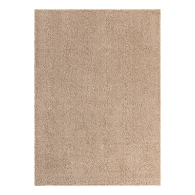 Santosha Shag Rug