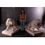 Ensemble de statue de jardin symétrique 2 pièces Lions