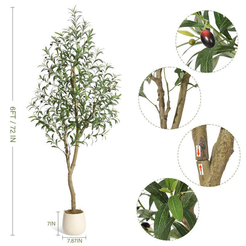 Plant, 1, 183cm H x 20cm W x 20cm D