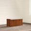 Banc de rangement Alanis-1625602506
