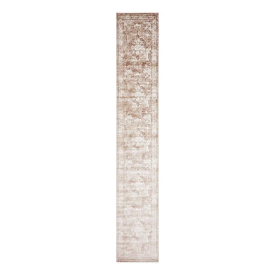 Coblitz Oriental Indoor Rug