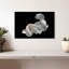 Poisson Betta blanc Brampt-108736151