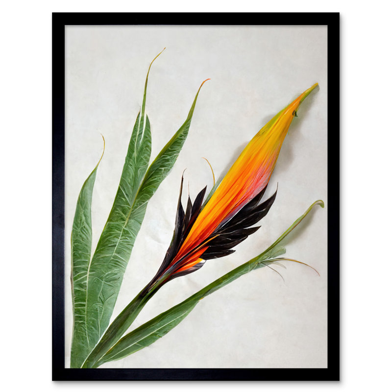 Bird Paradise Tropical Plant Flower Leaves - Single Picture Frame Print