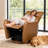 Winson Maxine 32.7'' W Swivel Top-Grain Genuine Leather Manual Push Back Recliner with Solid Wood Base