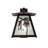 Rustic Lodge Steel Armed Sconce