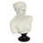 Venus de Milo Bust