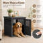 Table pour chien