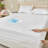 Queen Size Waterproof Mattress Protector, Microfiber, 16" Deep Pocket Smooth Fitted Cover, Soft Breathable & Noiseless, Vinyl-Free Machine Washable, White-125289727-125289729