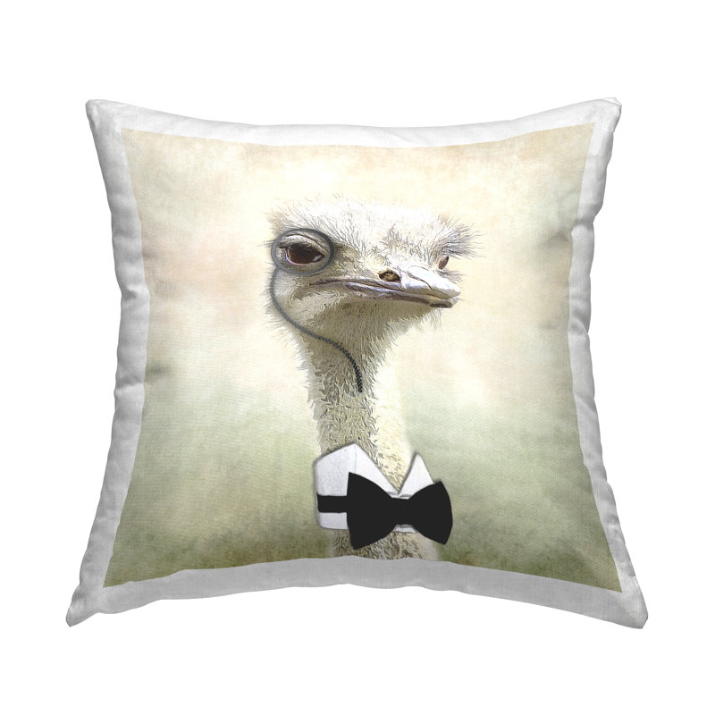 Throw Pillow
