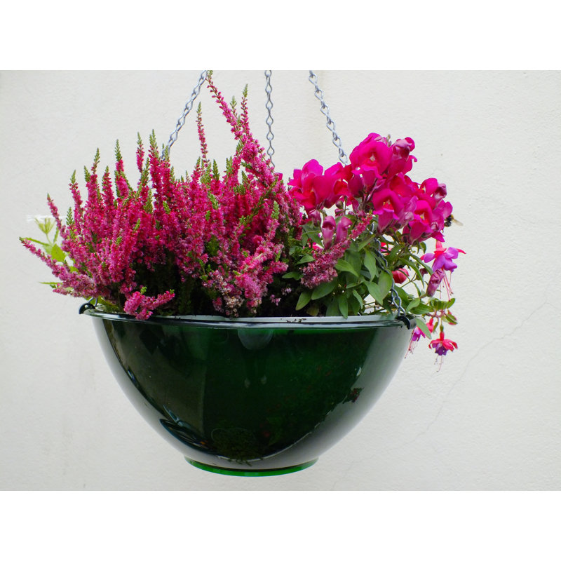 Hanging Planter