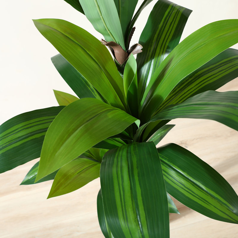 Adcock 70" Artificial Dracaena Tree in White Planter, Lifelike Fake Plant for Indoor and Outdoor Décor, 70" H x 18" W x 18" D