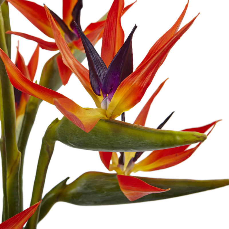 Arrangements floraux dans un vase en verre
