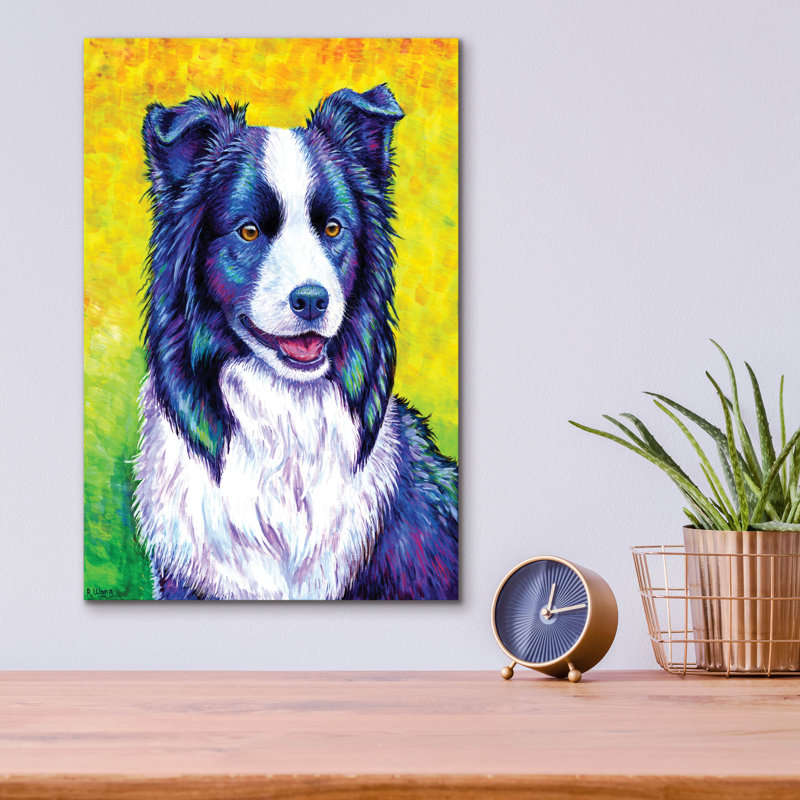 "Border Collie" par Rebecca Wang Art, H 16 po x l 12 po
