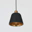 Luminaire suspendu industriel moderne 1 lumière noir
